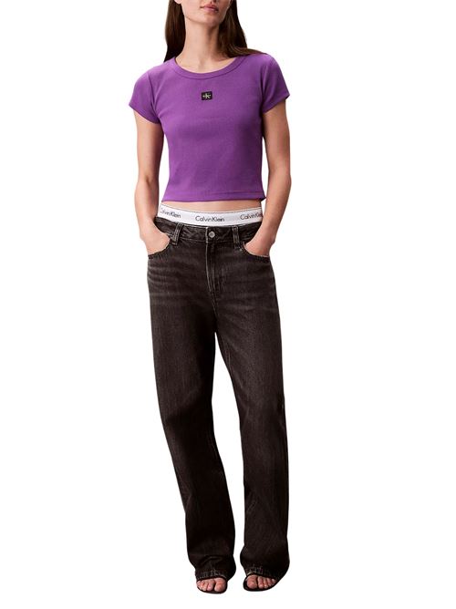 T-shirt in cotone viola Calvin Klein Jeans | LV047C200GWFX